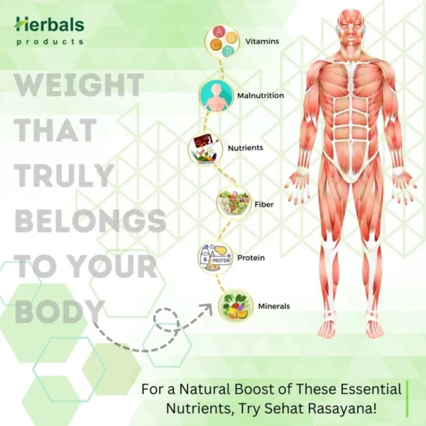 Sehat Rasayana/सेहत रसायन – the Herbal Solution Health/ Fitness - Image 4